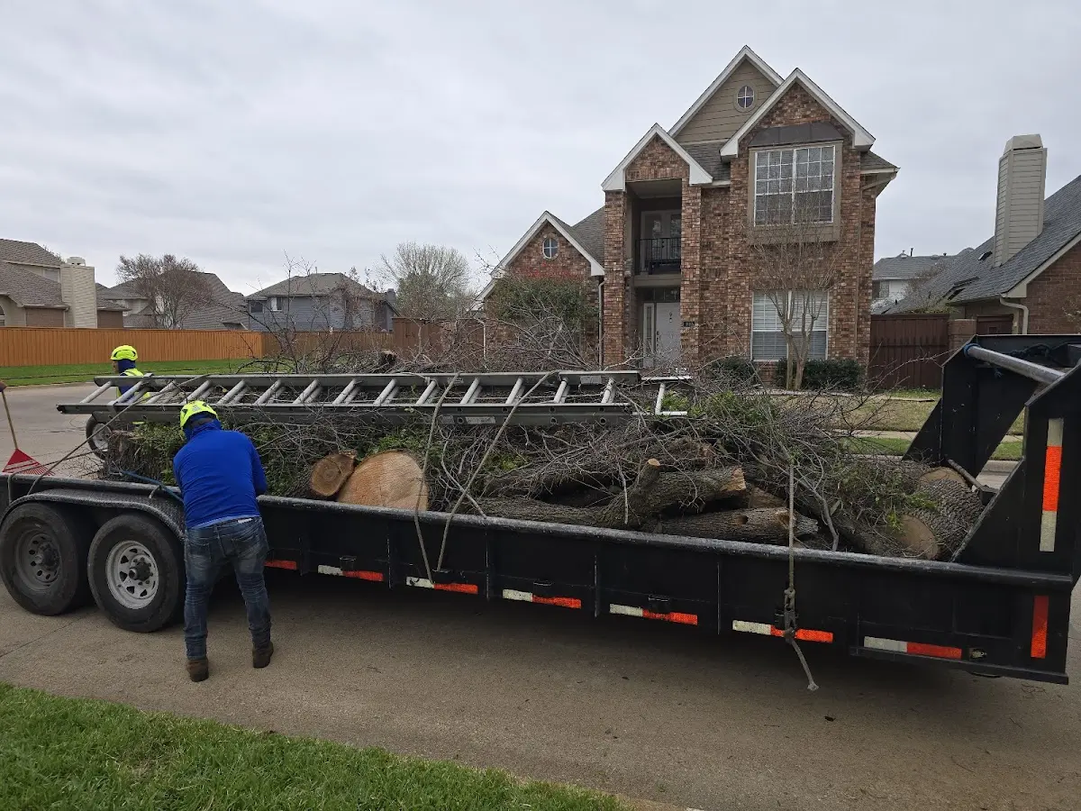 Expert Tree Fertilization with proper safety equipment in Sale Creek